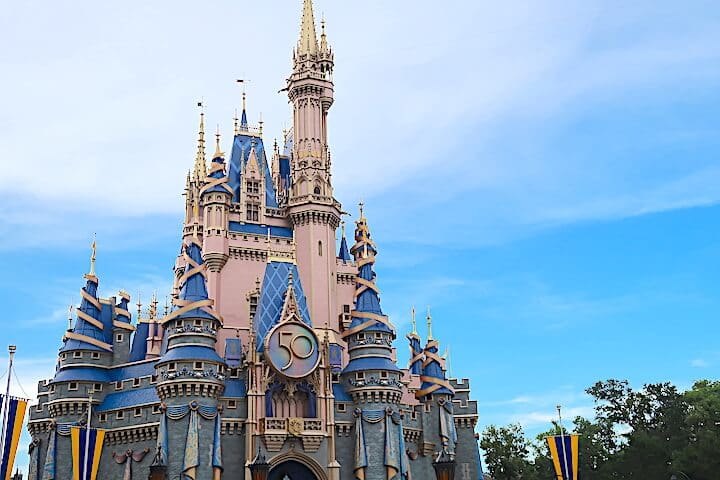 Cinderella Castle 50
